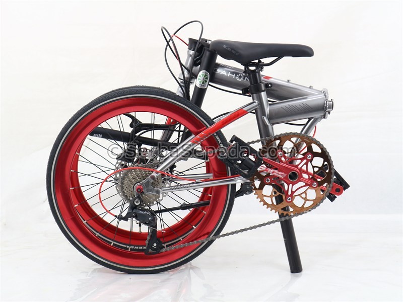 beda dahon dan dahon ion